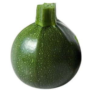COURGETTE SATELITE HYB F1
