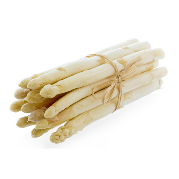 ASPERGE HATIVE D ARGENTEUIL