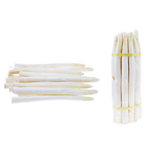 ASPERGE ROBBEMS F1 GRIFFES