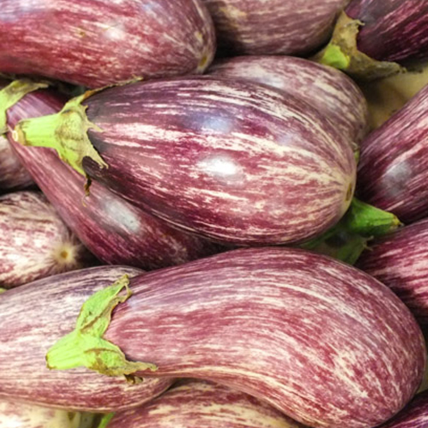 AUBERGINE RIADO FI 