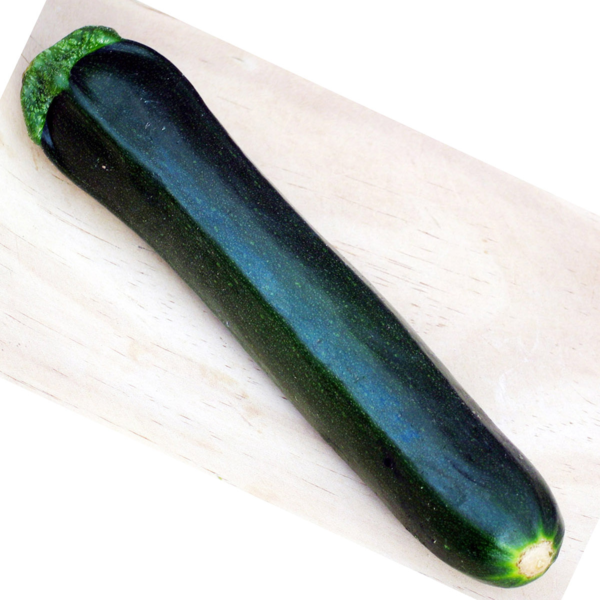 COURGETTE BLACK BEAUTY HYB F1