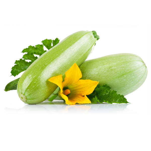 COURGETTE AMALTHEE HYB F1 