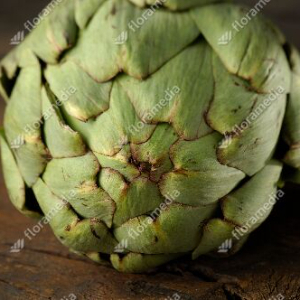 ARTICHAUT IMPERIAL STAR
